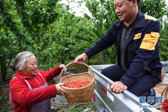 ����(j��ng)������1���F����֦���t���������l(xi��ng)�����d