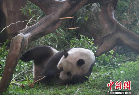 �D�顰�����������似��(c��)�L������������ �z