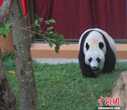 �D�顰������������ɢ������������ �z