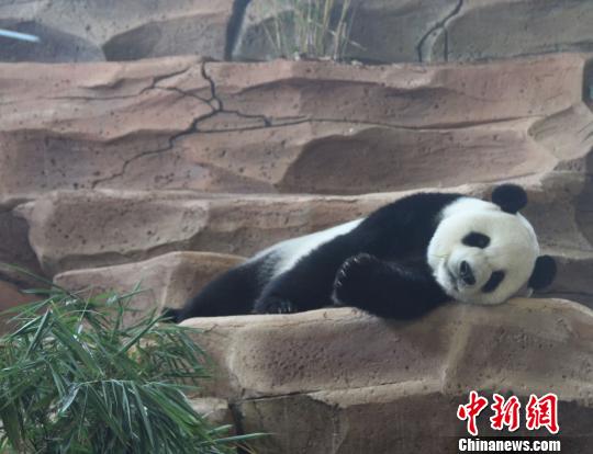 �D�鄂��ġ����ա����u�ȡ��������� �z