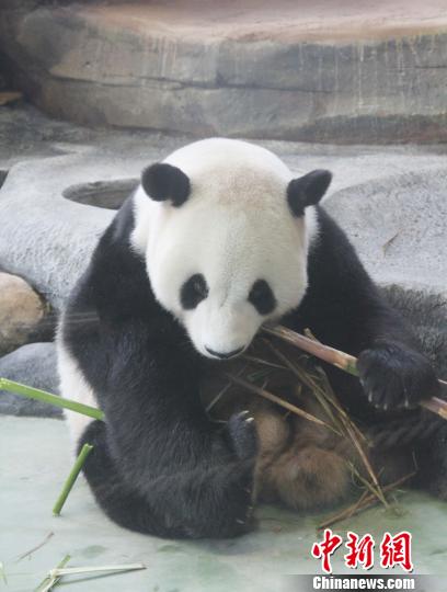 �D�顰���ա��ڳ��������������� �z