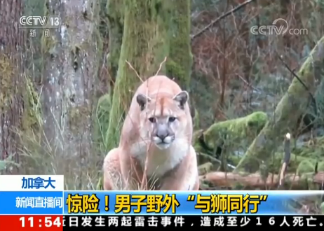 ���ô��@�U(xi��n)������Ұ�⡰�c�{ͬ�С�