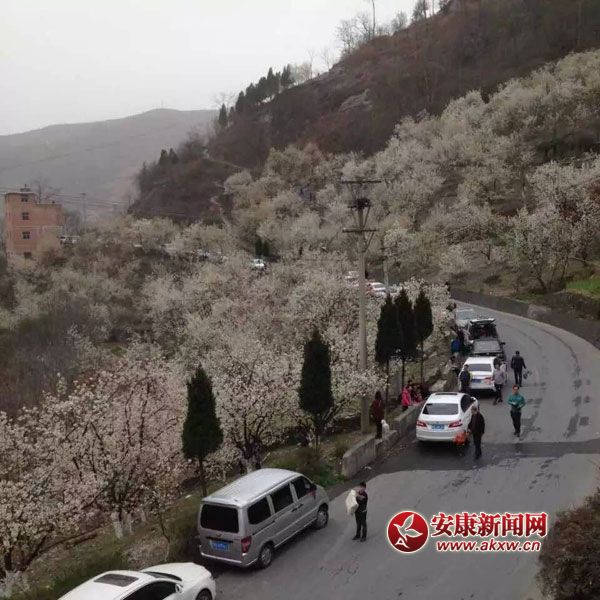 �?c��)뻨�������ܲ����?jpg