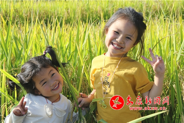 ��������Ԓ�S�� ���޻���X�(sh��)