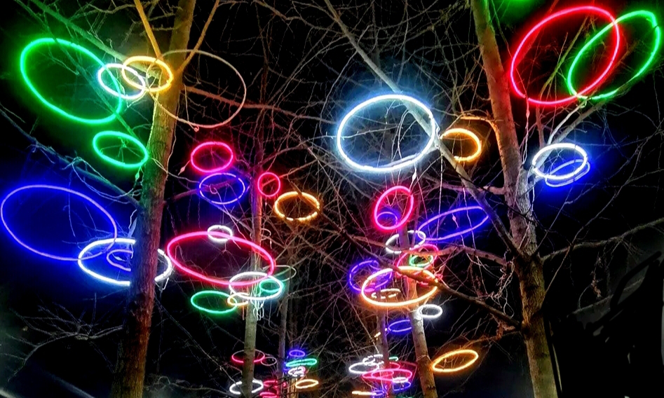 ��������֮ҹ