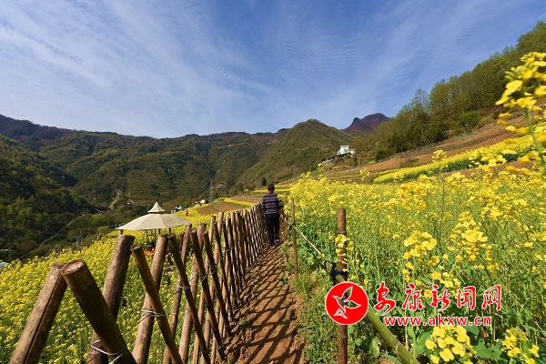 �όmɽ�_�µĽ�ɫ����