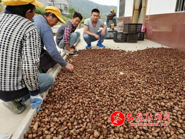 �{(di��o)����С ΢�ňDƬ_20190417105249.jpg