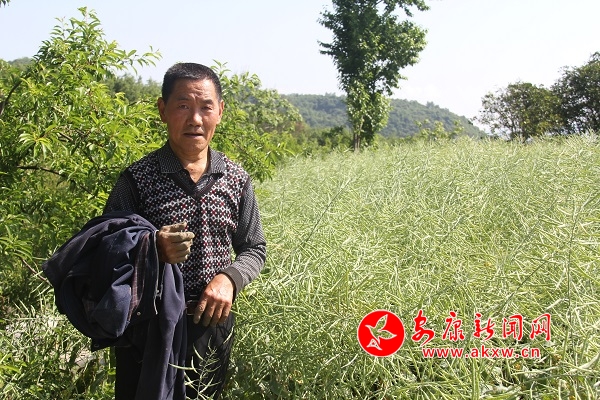 67�q�ď����F������(l��i)�����e(cu��)��������Ͳ������������f(shu��)��ȥ�����µ�600��߀�������������u(m��i)�������Լ��̓��������ԣ�����̤��(sh��)