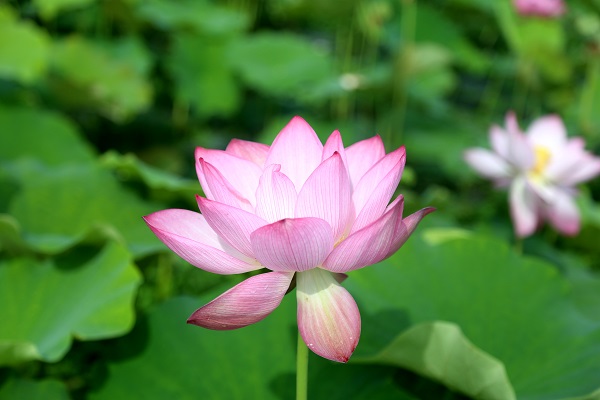 ���~���� ɏ����