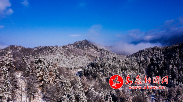 �(zh��n)ƺ����ɽ ѩ�V���箋