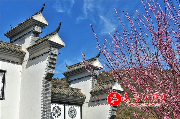 ƽ����������ɽ������