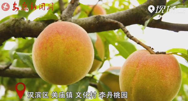 ҕ�� | ��҈@����������