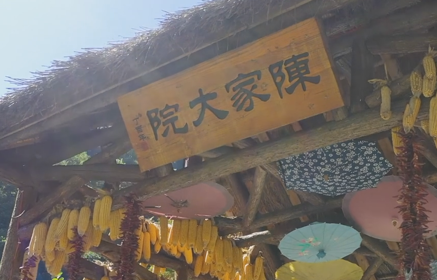 ҕ������(l��i)ꐼҴ�Ժ�����l(xi��ng)������ ���w�(y��n)�r(n��ng)�����