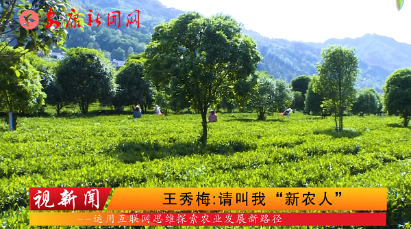 ҕ��������÷��Ո(q��ng)���ҡ����r(n��ng)�ˡ�