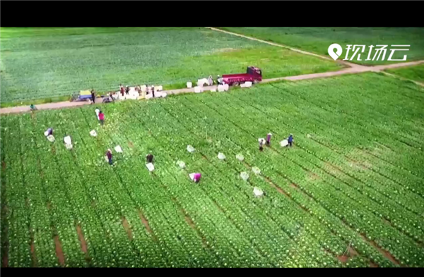 ȫ��(gu��)��Óؚ����(ji��n)����(y��u)��o(j��)�Ƭչ�������Q��(zh��n)Óؚ�ڽ񳯡���һ�� ����Ӳ���^������