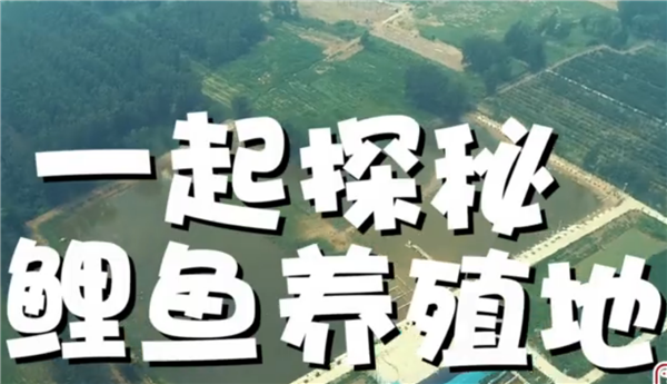 ȫ����Óؚ���ԡ���(y��u)��o(j��)�Ƭչ����ϵ�мo(j��)�Ƭ���ߴ�ֱ����Óؚ��֮��