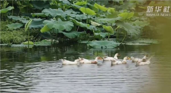 ȫ����Óؚ���ԡ���(y��u)��o(j��)�Ƭչ�����μ�ӰƬ�R�����Һ��ҵ��H�ˡ�