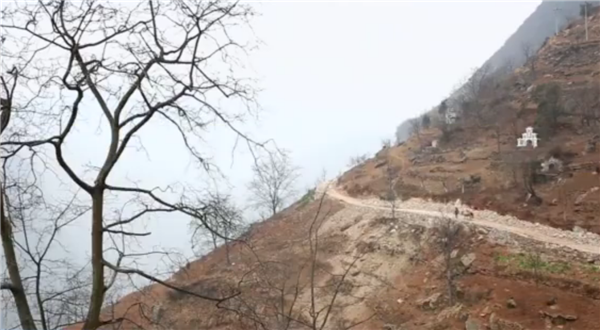 ȫ����Óؚ���ԡ���(y��u)��o(j��)�Ƭչ�����μ�ӰƬ�R�����۽����yȺ�w�����ϵĴ��f��