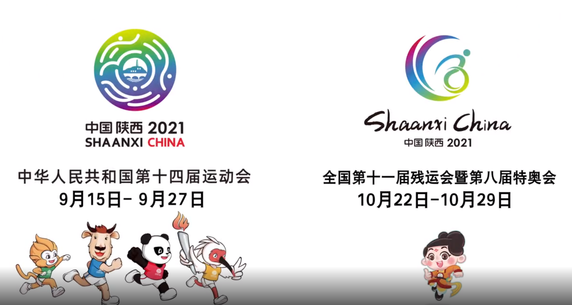 ��ʮ�Č�ȫ��(gu��)�\(y��n)��(d��ng)��(hu��)�ٷ�����Ƭ�l(f��)��