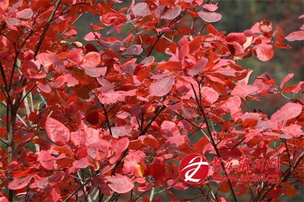 ��s����p�t�~