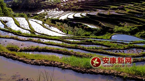 ��������(d��ng)�r(sh��)