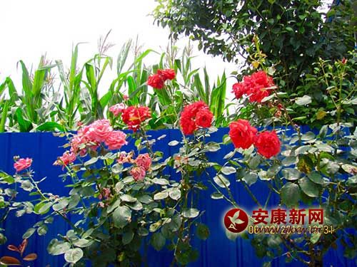 ���ջ���