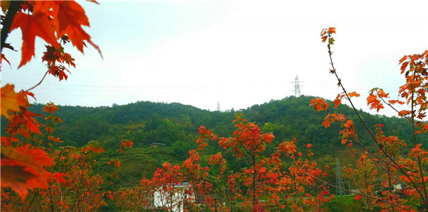 ˪���i����   һ�~�ذͼt