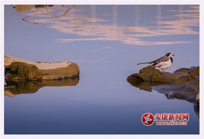 ��ˮ��һɫ���zӰ��Ƥ�¾S���f��������Ƭ��2017��12��3�������ʡ�����Нh�����Ĕz�ģ�չ�F(xi��n)�����õ����B(t��i)�h(hu��n)����(li��n)ϵ�Ԓ��