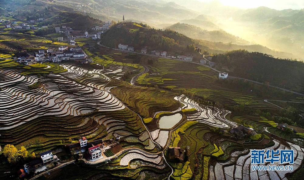 �h��P�߹����� ��ˮ��ӳչ����