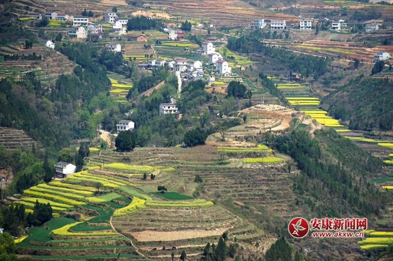 �D2.�����������̎�����(n��i)ꑸ�������(d��)�߁���ɽ����ɽ����ɽ��������ص�6�N���ε�ò���c(di��n)�����˷�����Ϣ���@����˂����ò����