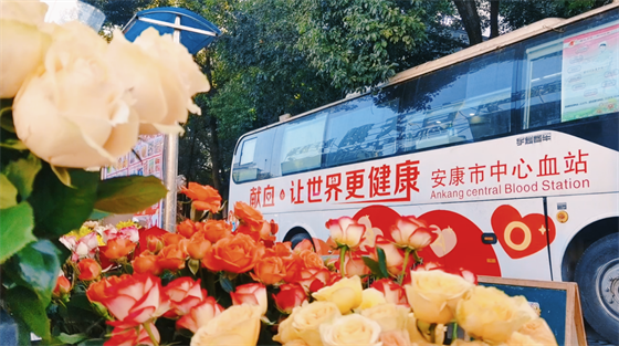 安康這三兄妹，熱血！