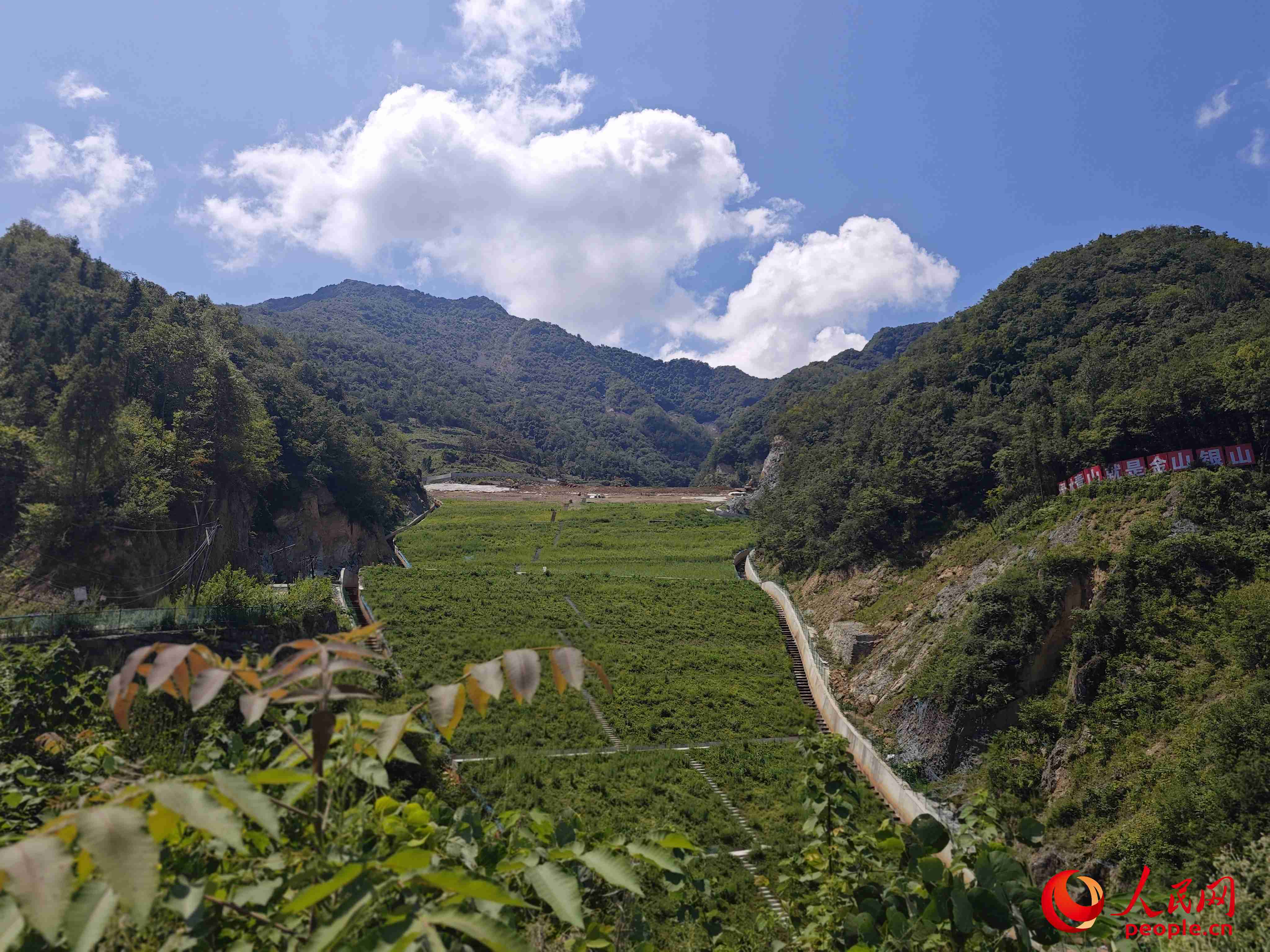 已部分復(fù)綠的貯存場(chǎng)。人民網(wǎng)記者 黃鈺攝